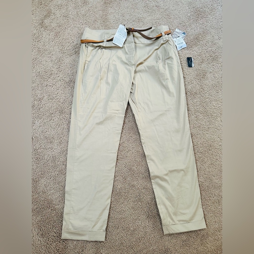 Zara Basics Womens Pants